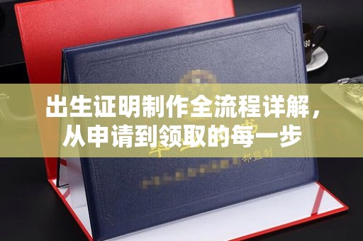 潢川出生证明制作全流程详解，从申请到领取的每一步