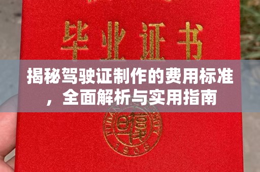潢川揭秘驾驶证制作的费用标准，全面解析与实用指南