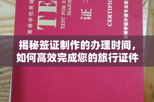 潢川揭秘签证制作的办理时间，如何高效完成您的旅行证件