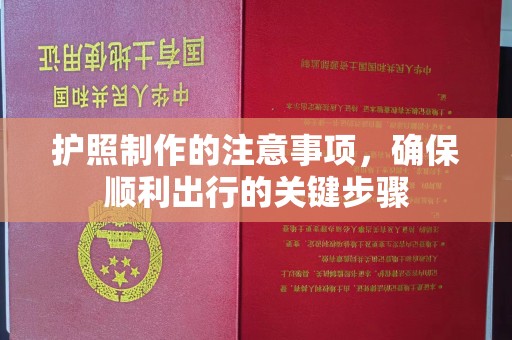 潢川护照制作的注意事项，确保顺利出行的关键步骤